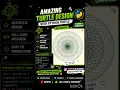 Mesmerizing Python Turtle Art Watch this satisfying design come alive