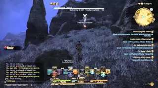 Final Fantasy XIV Heavensward - Ashelia Riot versus That One Basilisk