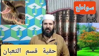قسم يجعل الثعبان يأتي مطيع على الطريقة الرفاعية وحقيقته 