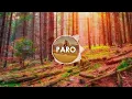 Nej - Paro(8D AUDIO)