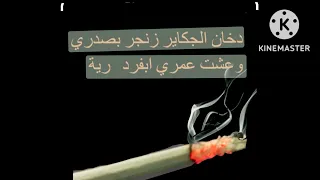 الفنان منتصر البصراوي عله ضهر الكاره خله تحذير موال حزين 2023 ونين يوجع الكلب 