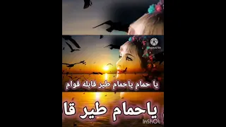 قولوا لعين الشمس ما تحماشي شادية ج٢ 