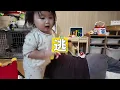 This Shiba Inu and 2-year-old boy were so cute when they discovered their sleeping dad and starte...