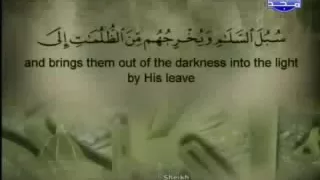 سورة المائدة كاملة الشيخ القارئ أبو بكر الشاطري  سورة المائدة كاملة الشيخ القارئ أبو بكر الشاطري