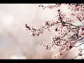 Nic0s - Carol's Theme !!