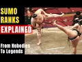 Sumo Ranks EXPLAINED From Teen Rookies to Grand Champions in 5 Minutes
