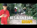 Lagu KESIALAN BUAH KECAPI! // Funny Video // JECTIM