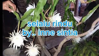 selalu rindu by inne sintia lirik lagu 