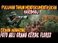 Download Lagu BERTEMU HARIMAU JAWA DAN MANUSIA KERDIL FLORES ! @erwinwinarno​