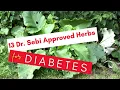 13 Dr Sebi Approved Alkaline Herbs for Diabetes Pt 1