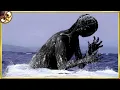 Lagu 30 Mythical Creatures Caught On Camera That Were Only Seen Once