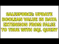 Salesforce Update boolean value in data extension from false to true with Sql Query