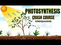 Photosynthesis Crash Course in 45 Minutes Plant Physiology biologyexams4u