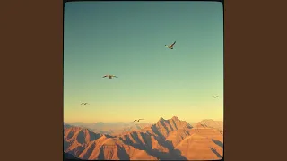 كل نفس دائقة الموت 