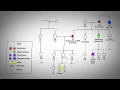 How To Draw Your Family History Pedigree