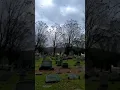 Murder in the Wellsville cemetery