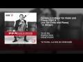 Sonata in A Major for Violin and Piano, FWV 8 (Arr. for Cello and Piano): II. Allegro