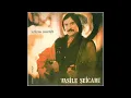 Download Lagu Vasile Șeicaru - Ziua