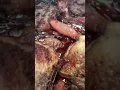 Shellys Kitchen - Caq au vin