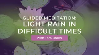 Guided Meditation Light RAIN in Difficult Times with Tara Brach