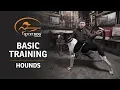 Basic Training Hounds