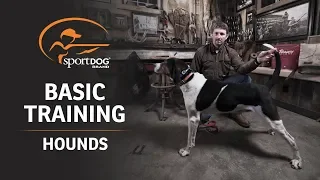 Basic Training Hounds