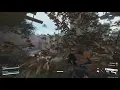 Matriarch bug