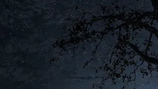 سورة الملك القارئ معاذ صيام مكتوبة 