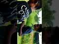 Download Lagu Burung pipit dan burung parkit komunitas burung arek palirangan