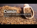 Turmeric Vs Cumin SPICEography Showdown