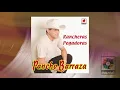 Pancho Barraza - Entre Copa y Copa (Penas del Alma) (Official Visualizer)