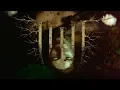Download Lagu Humanity's Last Breath - Fradga (Official Music Video)