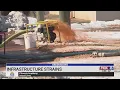 Greensboro deals with infrastructure strains