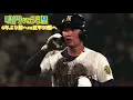 Koshien (2025) × WANIMA (シグナル)