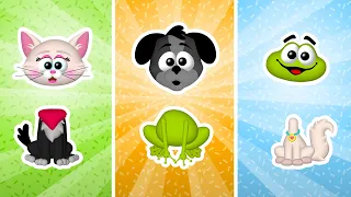 🐶🐱🐰 Lo mejor de Cabezas Equivocadas 🐹🐦 Cabezas equivocadas de los animales domésticos