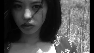 YEN TOWN BAND / 「Swallowtail Butterfly ～あいのうた～」MUSIC VIDEO (監督：岩井俊二)