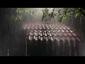 Deep Sleep Instantly with Heavy Rain & Roaring Thunderstorm Sounds on Tin Roof in Forest at Night