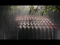 Download Lagu Deep Sleep Instantly with Heavy Rain \u0026 Roaring Thunderstorm Sounds on Tin Roof in Forest at Night