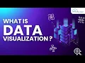 What is Data Visualization Python Seaborn Tutorials