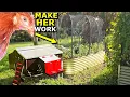 Download Lagu Deze truc met een kippentractor bespaart mij UREN in de tuin