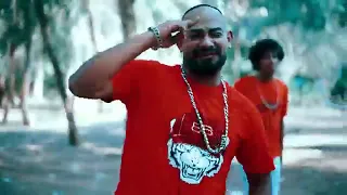 كليب ليه يا كلبش قافل علي الجدع  كله عارفه تمامه معنا   حسن البرنس   مصطفى الجن دندنها