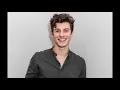 Shawn Mendes - Stitches | MM sub