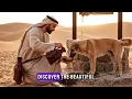 The Thirsty Dog Story in Islam 🐕 | A Powerful Sahih Hadith About Allah’s Mercy