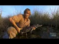 Austin Stevens - Giant Python Invader
