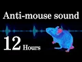 Download Lagu [12h] Anti-mouse sound. Rest easy with a mouse-free night.