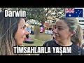 Download Lagu Timsahlar Şehri Darwin - Kuzey Toprakları - Avustralya 🇦🇺 
