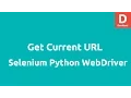 Get Current URL in Selenium Python Webdriver