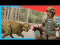 Download Lagu 🦖 Dinosaurs Defense Test Experiment with Grandma 🌟 + More Dino for Kids @DinoKids