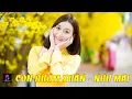 Lagu CON BƯỚM XUÂN - NHƯ MAI