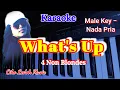 Download Lagu WHAT'S UP_4 Non Blondes_Male Key_KARAOKE